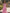 Pink One Shoulder Ruffled Train Chiffon Maxi Dress