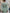 Sage Green Flutter Sleeve Chiffon Maxi Dress