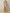 Champagne Sequin Bodice Satin Maxi Dress