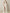 Champagne Sequin Bodice Satin Maxi Dress