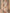 Champagne Sequin Bodice Satin Maxi Dress