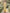 Light Yellow One Shoulder Lace Fishtail Maxi Dress