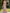 Pink One Shoulder Lace Satin Maxi Dress