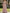 Pink One Shoulder Lace Satin Maxi Dress