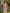 Pink One Shoulder Lace Satin Maxi Dress
