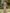 Pink One Shoulder Lace Satin Maxi Dress
