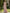 Pink One Shoulder Lace Satin Maxi Dress