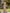 Pink One Shoulder Lace Satin Maxi Dress