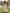 Pink Floral V-Neck Tie Chiffon Maxi Dress