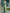 Solid Color Round Neck Maxi Dress