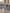 Taro Purple Stand Up Collar Fitted Waist Pleated Chiffon Midi Dress
