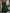 Green Chiffon Shawl Style Full Maxi Dress