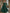 Green Chiffon Shawl Style Full Maxi Dress