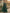 Green Chiffon Shawl Style Full Maxi Dress
