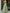 Bean Green Off Shoulder Satin Jacquard Train Maxi Dress