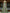 Bean Green Off Shoulder Satin Jacquard Train Maxi Dress