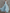 Chiffon V-neck Halter Neck Ruffled Trim Cinched Waist Maxi Dress