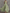 Chiffon V-neck Halter Neck Ruffled Trim Cinched Waist Maxi Dress