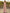 Light Pink Off Shoulder Fitted Waist Flared Chiffon Maxi Dress