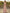 Light Pink Off Shoulder Fitted Waist Flared Chiffon Maxi Dress