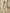 Light Pink Floral Off Shoulder Mesh Fabric Maxi Dress