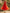 Orange Red Deep V-neck Backless Mesh Cake Layer Midi Dress