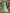 Mint Green Halter Neck Pleated Chiffon Maxi Dress