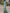 Sage Green Chiffon High-neck Drape Maxi Dress