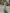 Sage Green Chiffon High-neck Drape Maxi Dress