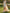 Light Beige Base With Colorful Floral Off Shoulder 3d Floral Chiffon With Slits Maxi Dress