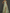 Chiffon Lace Embroidered One Shoulder Fitted Waist Maxi Dress
