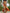 Orange Tropical Plant Print V-neck Chiffon Maxi Dress