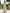 Mint Green Off Shoulder Gardenia Print Fitted Waist Pleated Chiffon Maxi Dress
