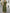 Olive Green V-neck Puff Sleeve Chiffon Maxi Dress