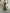 Olive Green V-neck Puff Sleeve Chiffon Maxi Dress
