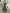 Olive Green V-neck Puff Sleeve Chiffon Maxi Dress