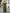 Olive Green V-neck Puff Sleeve Chiffon Maxi Dress