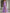 Solid Color Off Shoulder Mesh Ruching And Slit  Maxi Dress