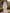 Cape-sleeved Chiffon Wide-leg Jumpsuit