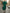 Solid Color Lantern Sleeves With A Cinched Waist Midi Dress