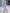 Light Purple Chiffon Halter Neck And Fitted Waist Maxi Dress