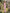 Light Pink One Shoulder 3D Floral Slim Fit Fishtail Maxi Dress