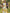 Yellow Floral Satin Dress With A Cinched Waist And Wide Midi Dress