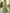 Solid Color Deep V-Neck Layered Chiffon Maxi Dress