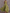 Chiffon V-neck Halter Neck Ruffled Trim Cinched Waist Maxi Dress