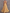 Chiffon V-neck Halter Neck Ruffled Trim Cinched Waist Maxi Dress