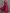 Chiffon V-neck Halter Neck Ruffled Trim Cinched Waist Maxi Dress