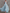 Chiffon V-neck Halter Neck Ruffled Trim Cinched Waist Maxi Dress