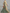 Olive Green Chiffon Printed Round Neck Maxi Dress