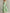 Solid Color Chiffon Off Shoulder Twisted Ruffle Maxi Dress